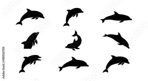 Dolphin silhouette collection, set of 9 black aquatic animal icons, jumping sea mammal vector shapes, marine life silhouettes for ocean conservation