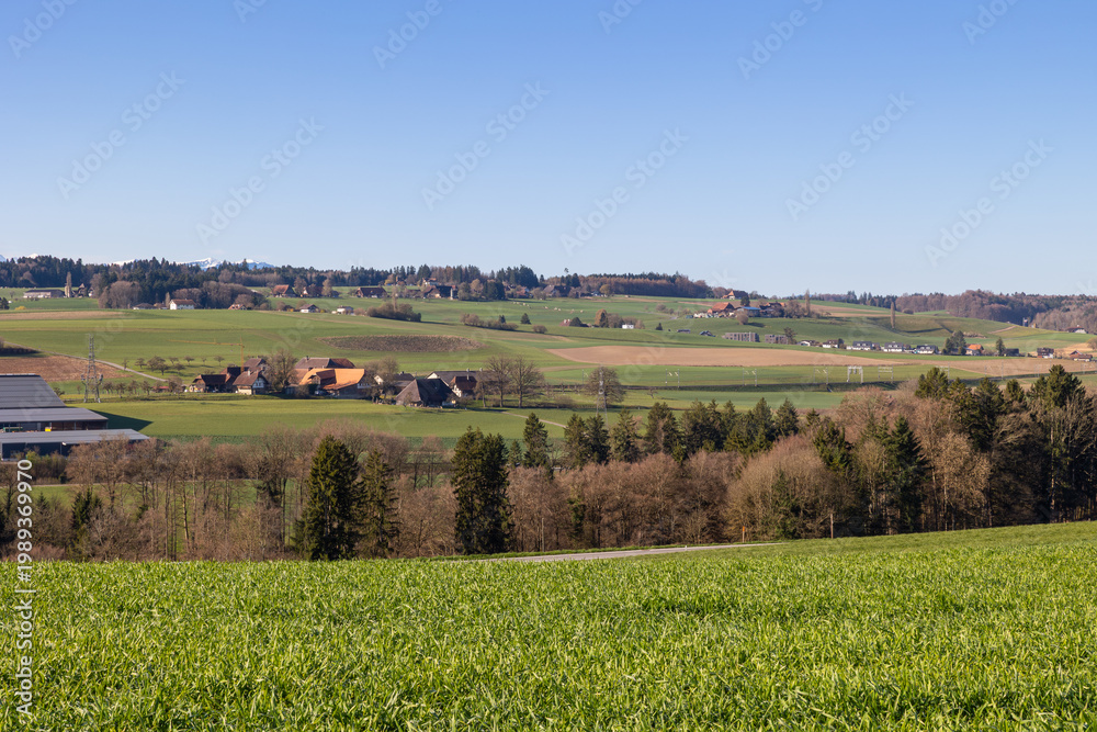 Fototapeta premium Green field and rural countryside panorama. Wide green field with rolling countryside and scattered houses in distance. Ideal for agriculture, rural lifestyle and landscape backgrounds