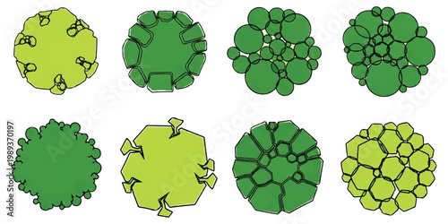 A collection of eight diverse trees and plants depicted from a top-down perspective for architectural landscape plans.