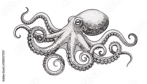 Vintage illustration of an octopus with intricate details  