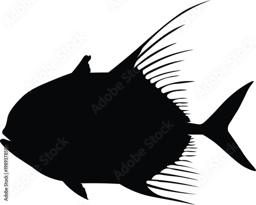 Silhouette of bump nose trevally fish, black image isolated on white background