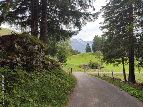 Horizontal peaceful landscape of a curved rural road winding through a pine forest toward a bright green meadow and distant Switzerland mountain peaks. A large moss-covered boulder sits on the left.
