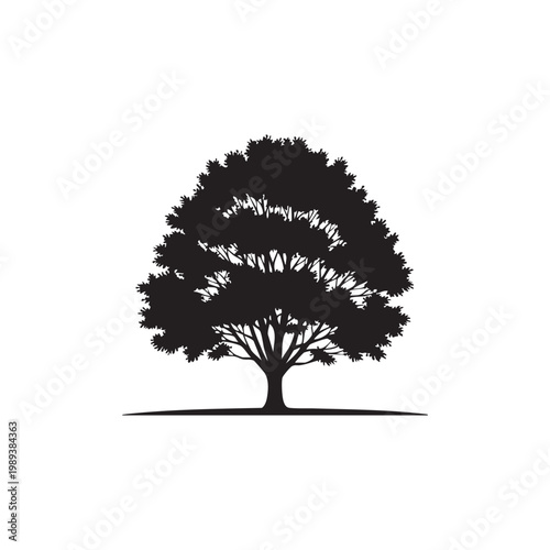 Black silhouette of a tree