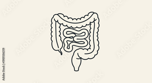Human Intestines Outline Drawing for Medical and Health Concepts.