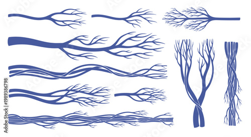 Human Veins and Arteries Set, Detailed Vascular System Illustration.