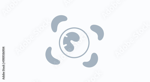 Neutrophil cell under microscopic focus.