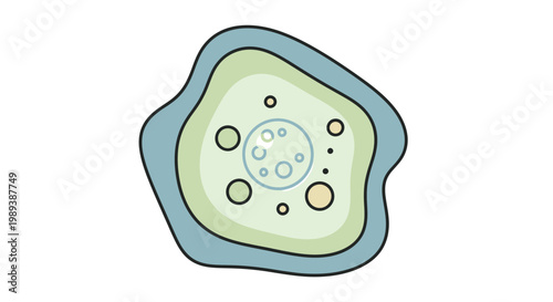 Amoeba microorganism illustration with nucleus and vacuoles.