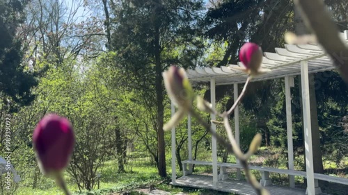 Spring garden with blooming flowers in foreground and gazebo in background, nature and seasonal concept, greenery, outdoor landscape, natural scenery