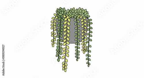 Hanging potted plant with trailing leaves and succulents