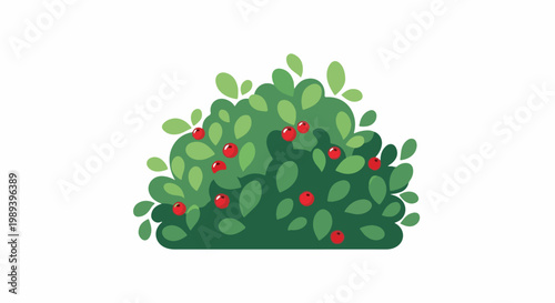 Lush green bush with red berries on a white background