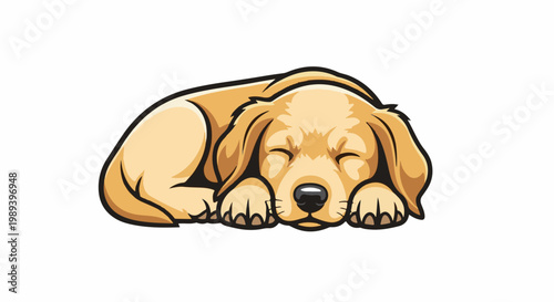 Cute golden retriever puppy sleeping peacefully on a white background