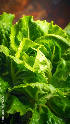 Fresh Green Lettuce Leaves Macro Shot Vibrant Organic Texture And Crisp Details In High Contrast Natural Studio Lighting On Dark Background