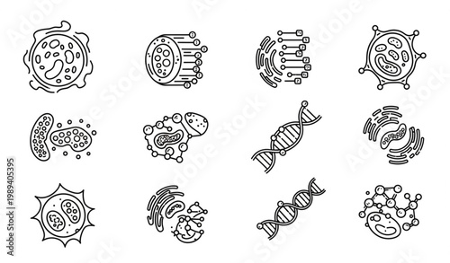 Advanced cell biology monochrome icon set with organelle DNA and microscopic structure symbols vector