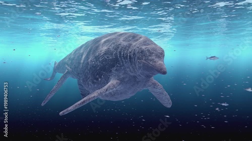4k Realistic 3D CGI animation of a colossal Shastasaurus, a massive prehistoric marine reptile, swimming gracefully through deep, murky blue ocean waters. 