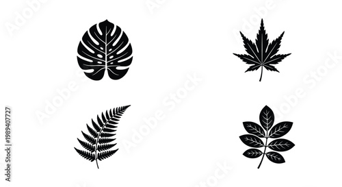 Tropical leaf silhouettes set, black botanical foliage icons including monstera and fern, minimalist plant leaf vector elements for logo design