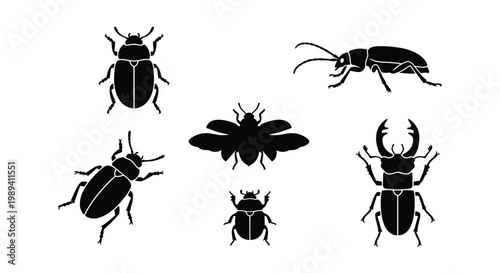 Minimalist beetle silhouette icons, set of 6 black insect vector illustrations, stag beetle and bug graphic elements for biology and nature design