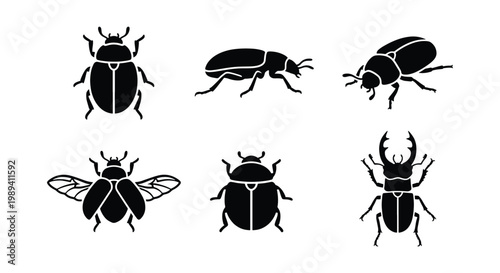 Black beetle silhouette icons set, 6 insect vector elements, stag beetle and scarab bug collection, minimalist wildlife nature graphics