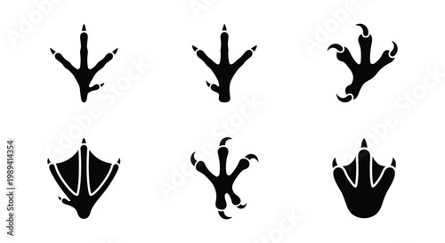 Bird footprint vector icons set, black avian paw prints and claw marks, 6 poultry and waterfowl track silhouettes for nature identification