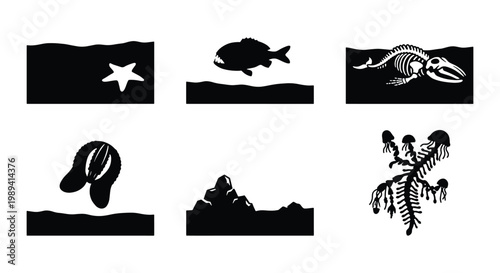 Black and white marine life silhouettes, underwater sea creature icons set, minimalist ocean animal vector graphics, aquatic nature symbols