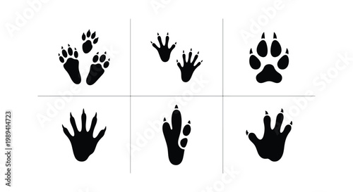 Animal track silhouettes set, black wildlife paw prints and rodent footmarks, 6 vector icons of forest creature footprints for nature tracking