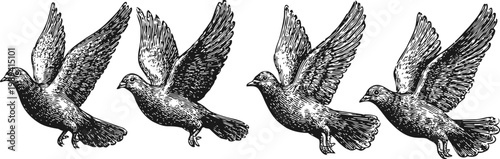 set of four detailed vintage flying doves in mid flight with spread wings