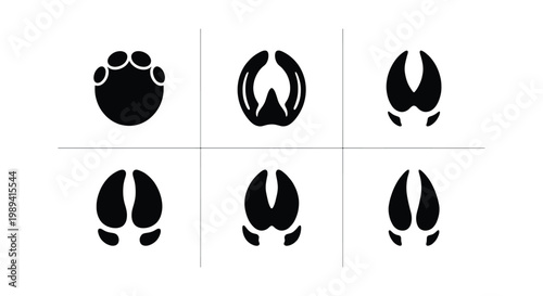 Animal hoof prints collection, black silhouette paw and hoof track icons, 6 vector elements of wildlife and livestock footprints for nature design