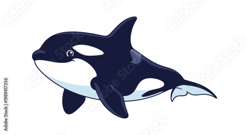 Large black and white orca killer whale swimming gracefully in deep blue ocean water as a majestic and powerful marine mammal.