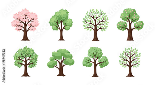 Botanical set of eight diverse tree species featuring various leaf colors shapes and beautiful blooming pink flowers in spring.
