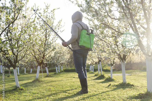 Man Spraying Plum Orchard in Blossom – Spring Agricultural Care and Fruit Tree Protection Concep