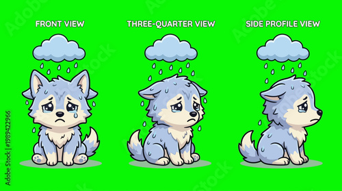 Sad Cartoon Wolf in Front Three-Quarter and Side Profile Views