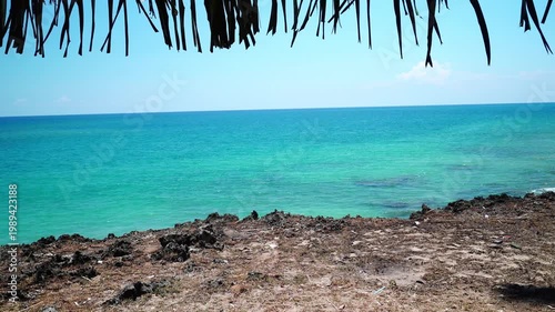 Tropical Turquoise Shoreline with Rocky Coast and Palm Fronds - 4K