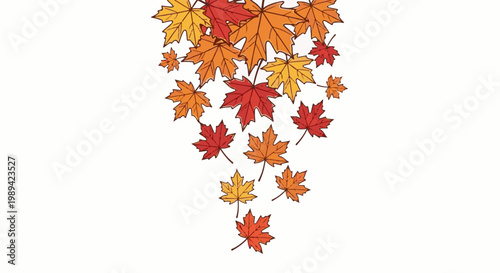 A cascade of colorful maple leaves in red, orange, and yellow hues