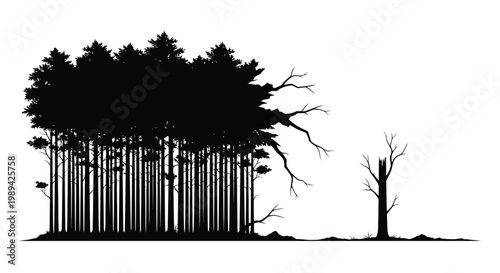 Silhouetted forest with dense trees and a solitary bare tree