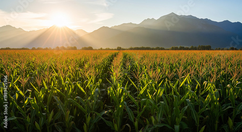 Expansive agricultural field with crops growing under distant mountain landscape