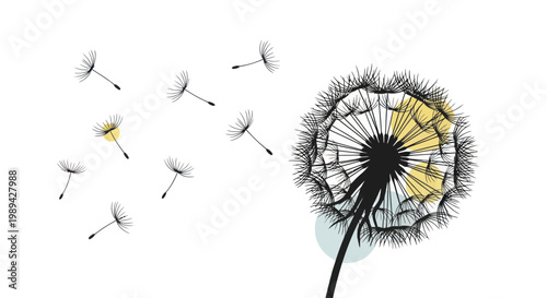 Dandelion seeds blowing in the wind, illustration, white background