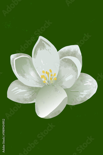 A delicate white flower bloom with yellow stamens against a green background