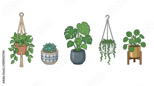 Various houseplants in decorative pots and hangers arranged in a charming collection, showcasing diverse foliage and popular indoor greenery for home decor.