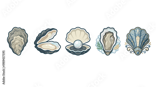 Oysters and shells vector illustrations set featuring various forms, from closed and open shells to a pearl-bearing mollusk and a decorative marine design.