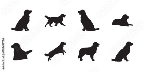 Golden retriever standing silhouettes. Beautiful canine outlines in side view poses for high quality animal illustration bundles.