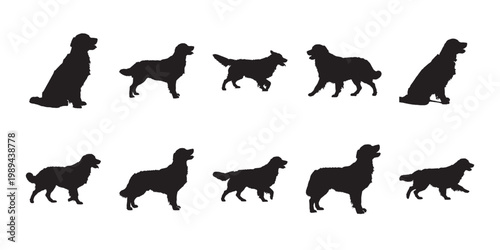 Playful golden retriever silhouettes. Collection of dog positions featuring jumping and running for creative animal-themed designs.