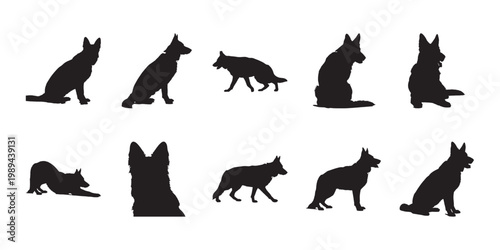 German shepherd vector silhouettes bundle. Professional dog illustrations in various positions for high-quality graphic elements.