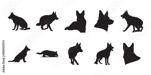 German shepherd canine silhouette vector. Multiple dog poses in black monochrome style ideal for pet-themed illustrations and logos.
