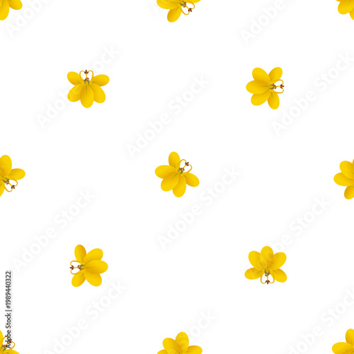Golden shower flowers pattern isolated on transparent background