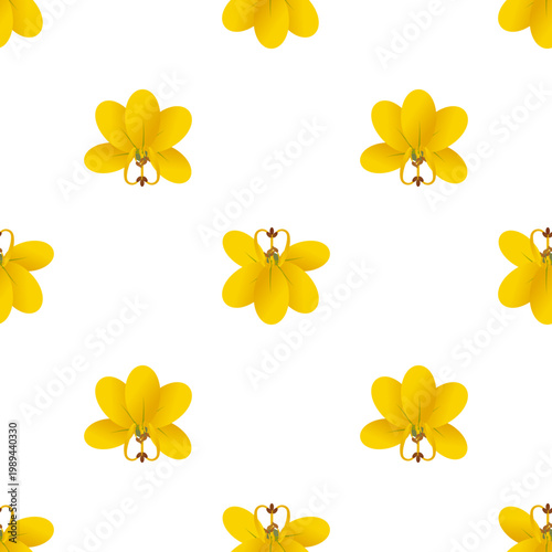 Cassia fistula yellow flowers pattern isolated on transparent background