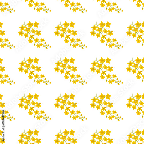 Pattern of Cassia fistula flowers isolated on a transparent background