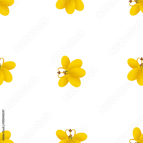 Isolated Cassia fistula flowers on a transparent background