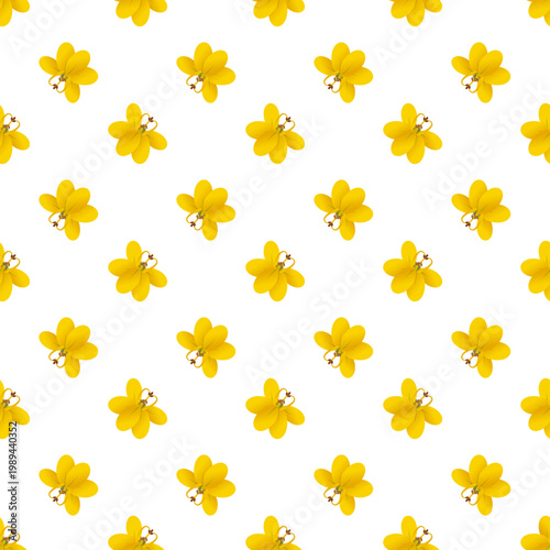 Pattern of yellow Cassia fistula flowers isolated on a transparent background