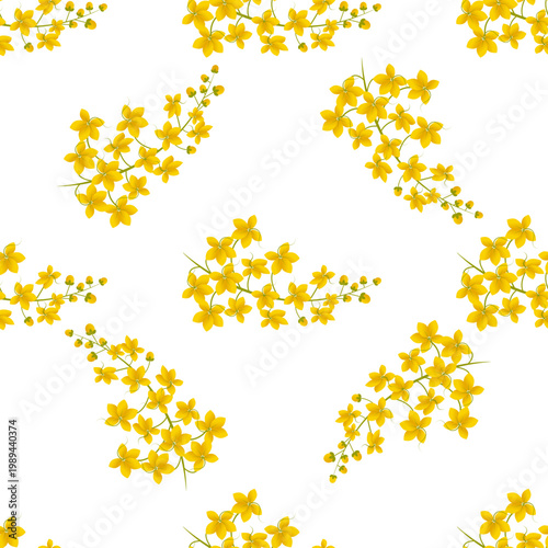 Cassia fistula flowers isolated on transparent background