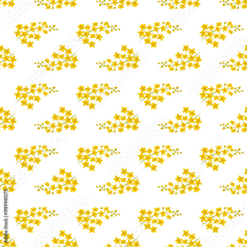 Cassia fistula flowers in a repeating pattern isolated on a transparent background