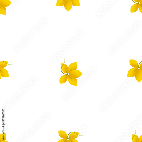 Cassia fistula flowers isolated on transparent background